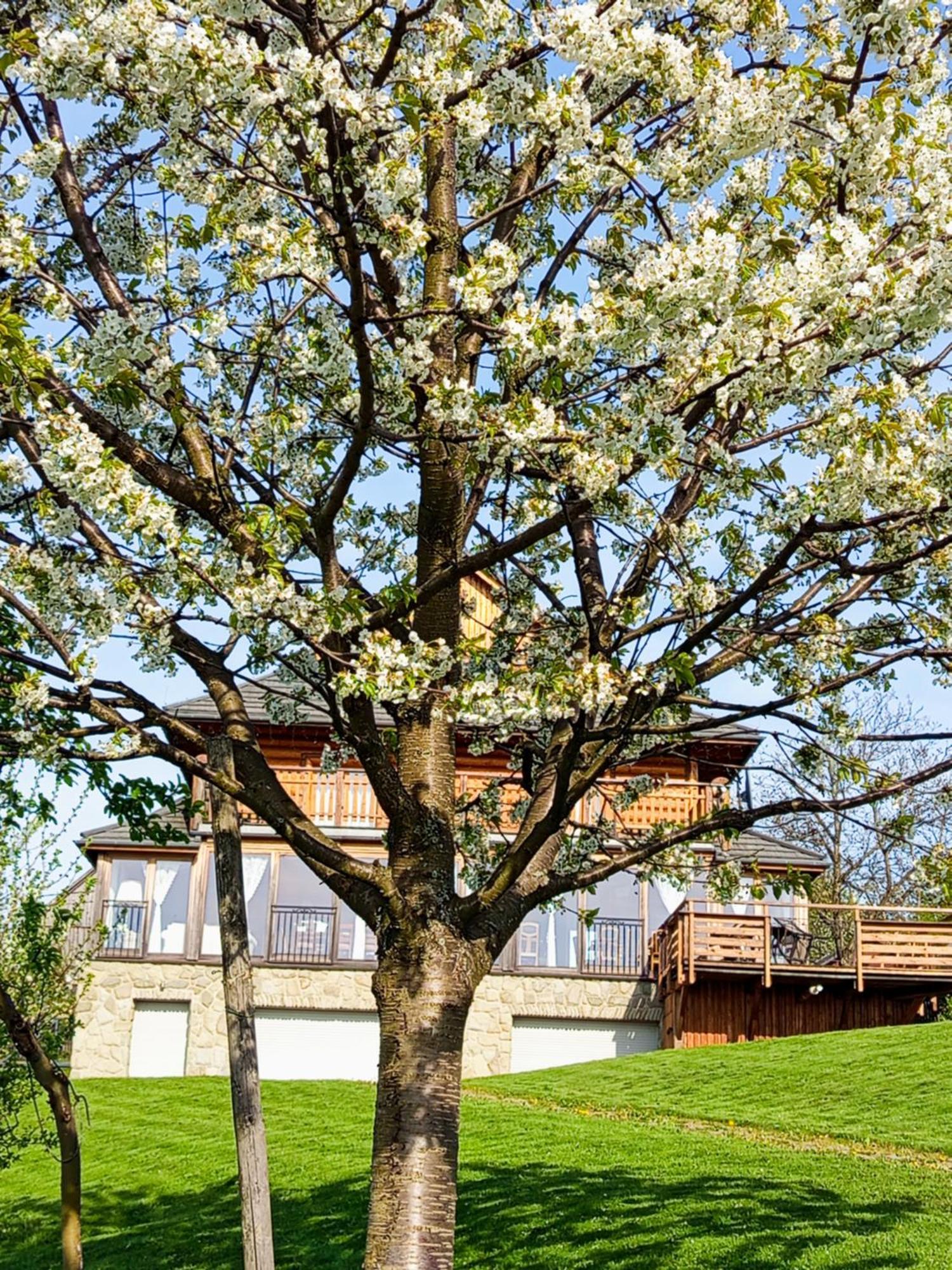 Dom Na Rozcesciu Bed & Breakfast Koniaków Exterior foto